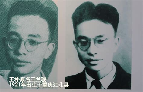 抗日小英雄:王朴，也作王璞。王朴生於1929年，犧牲於1943年，河北省 -百科知識中文網