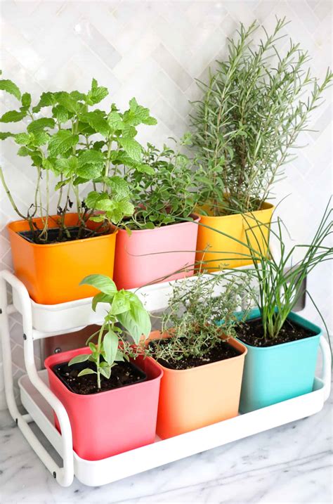 Indoor Herb Garden Ideas