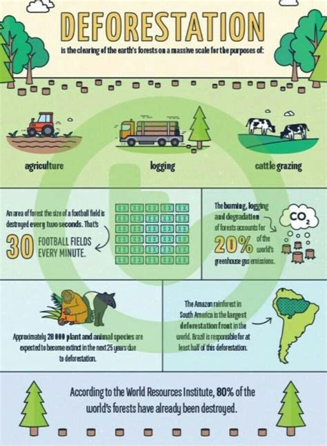 May Somewon Pls Help Me With A Deforestation Poster Example? Thanks ...
