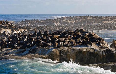 8 common vegetarian foods to boost protein easily