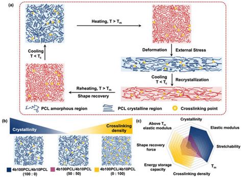 Influences of Crystallinity and Crosslinking Density on the Shape ...