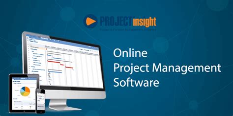 Project Insight 的图像结果