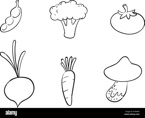 Vegetable Sketch