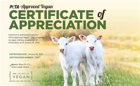 KazarMax Unisex-Child Pink & Purple Sports Shoes -8 Kids UK : Amazon.in ...