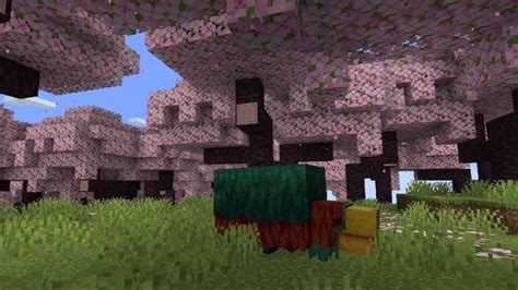 Minecraft Reveals New Cherry Grove Biome For 1.20 Update