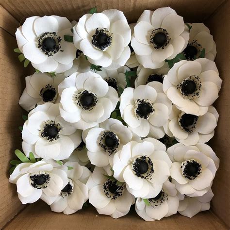 white anemones... | White anemone flower, Anemone flower, Flower ...