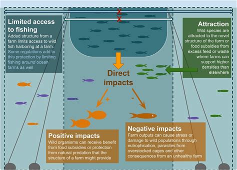 Fisheries 的图像结果