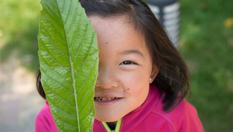 Nanjing International School Office Photos