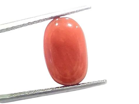 Buy Red Coral Moonga Online | 5.98 Ct Untreated | Best Gemstone Shop ...