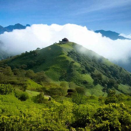 Oxygen Forest | Own a Private Forest Plot Near Hyderabad