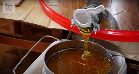 What is HMF in Honey? – Honey and Spice