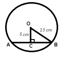 [Solved] In the given figure, O is the centre of a circle of radius 13 ...