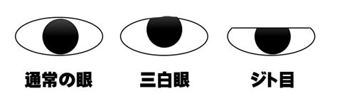 Image result for SQL Database Script Icon