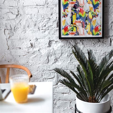 Poster Tropical Birds | wall-art.com