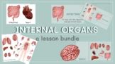 Internal organs Flash Cards by phonicsforyou | TPT