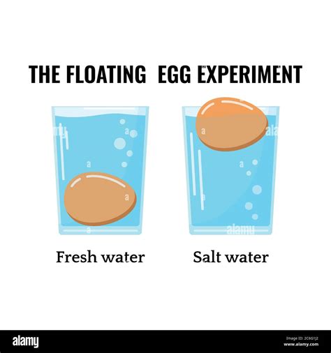 What Does It Mean If Eggs Are Floating In Water at Sophie Clarkson blog