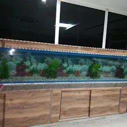 Rea fish aquarium - Pet store - Lucknow - Uttar Pradesh | Yappe.in