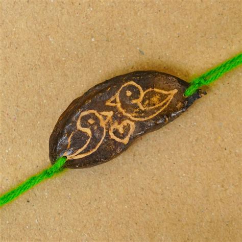 Buy Handmade Plantable Green Birds Seed Rakhi With Roli Chawal Online ...