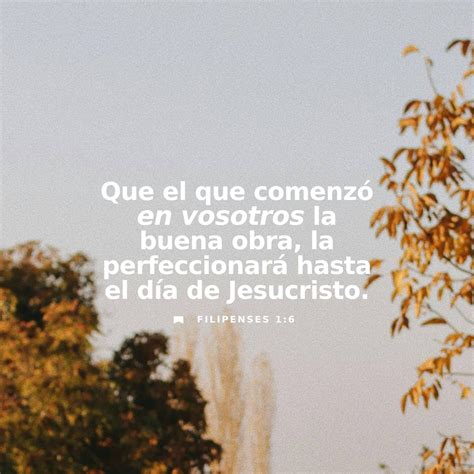 Acerca De ánimo Filipenses Guía De Estudio Bíblico: Filipenses