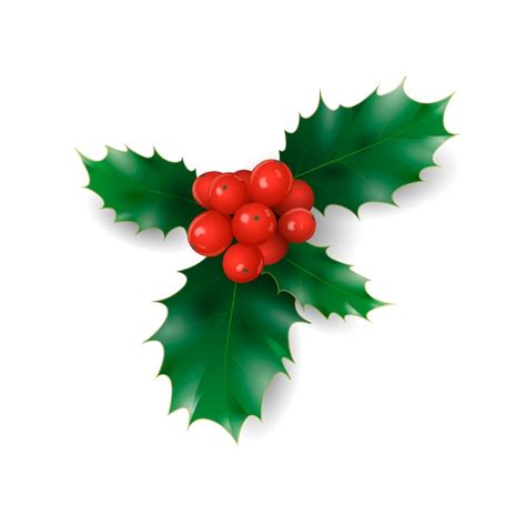 Holly sprig Images - Free Download on Freepik