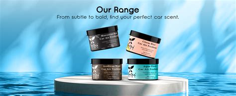 Shrida Naturals 60g Aqua Fresh Car Air Freshener Gel, Long-Lasting ...