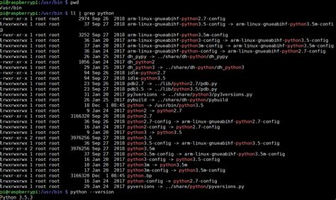 Raspberry Pi 3. Python Setup 的图像结果