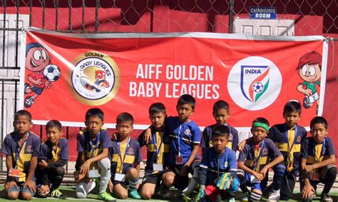 AIFF eLearning | AIFF Blue Cubs Leaders Online Course - Level 1