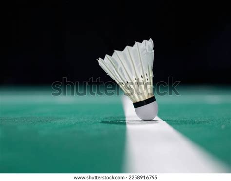 Playing Badminton 的图像结果