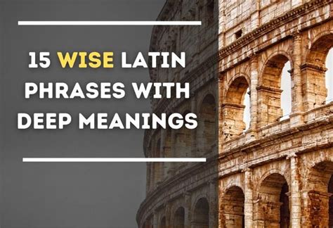 Take note of these beautiful and wise Latin phrases and understand ...