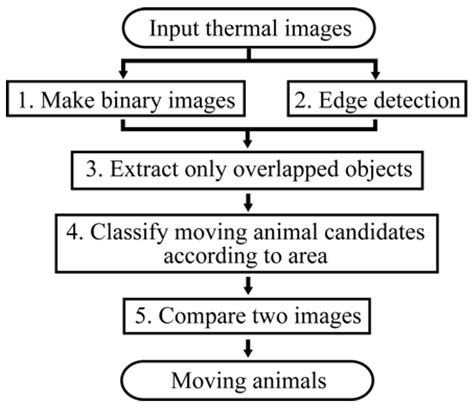Animal Detection Using Thermal Images and Its Required Observation ...