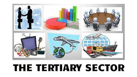 Tertiary And Quaternary Activities Class 12 Geography