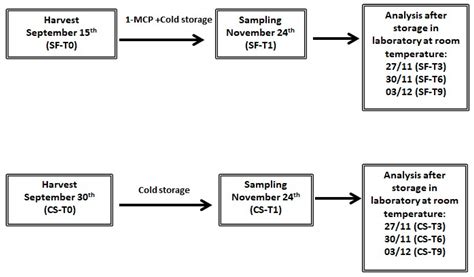 Influence of Post-Harvest 1-Methylcyclopropene (1-MCP) Treatment and ...