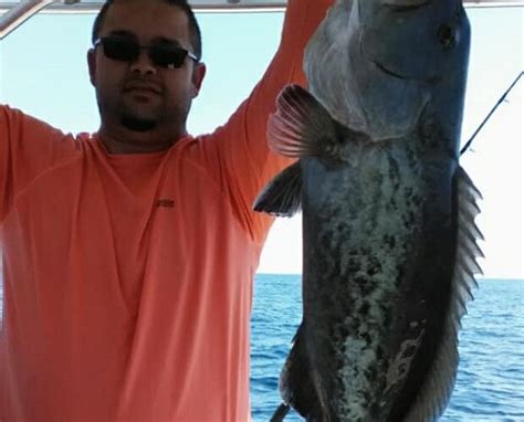 BOUNTY OF THE BAY CHARTERS (2026) All You Need to Know BEFORE You Go ...