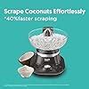 Buy Preethi Cocosta Kp001 Coconut Scraper&Citrus Juicer,100% Safe Dual ...