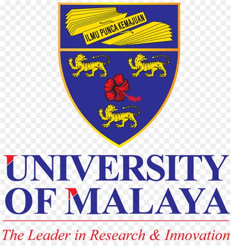 双非院校在读学生喜获马来亚大学offer - 新通教育