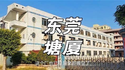 东莞塘厦星河时代原来楼盘环境绿化这么好！ - 公司新闻 - 楼市资讯 - 馨房E家·营销中心