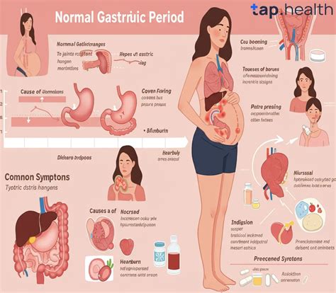 What is Normal Gastric Period in Pregnancy? Causes, Symptoms & Treatment