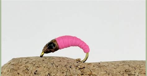 Image result for Maggot Fly Pattern