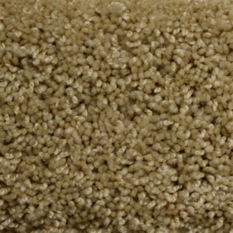 STAINMASTER (Sample) PetProtect Georgetown Reflection Textured Carpet ...