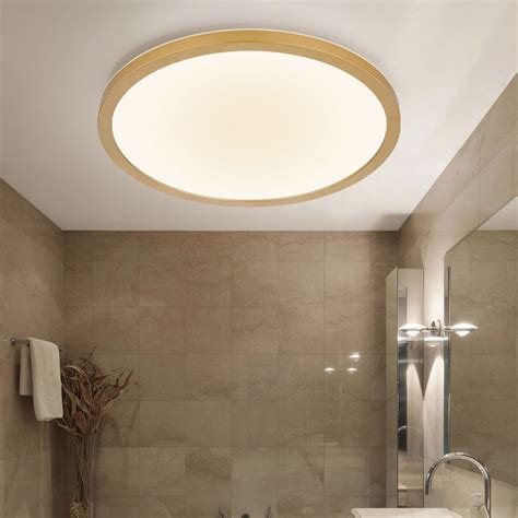 Ceiling Light 的图像结果