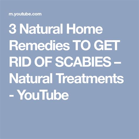 get rid of scabies in 24 hours