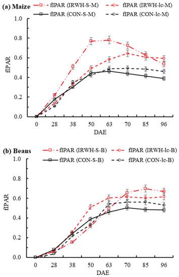In-Field Rainwater Harvesting Tillage in Semi-Arid Ecosystems: II Maize ...