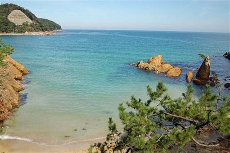 SEASIDE NISHINAKA (Kyoto Prefecture/Kyotango) - Minshuku Reviews ...