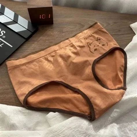 Women Panties - Women STRETCHABLE Briefs Trader - Wholesaler ...