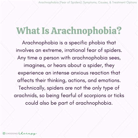 Arachnophobia (Fear of Spiders): Symptoms, Causes, & Treatment Options