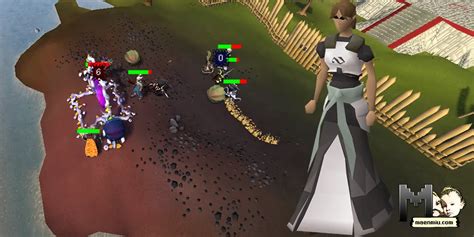 Image result for Pest Control Pure Guide OSRS