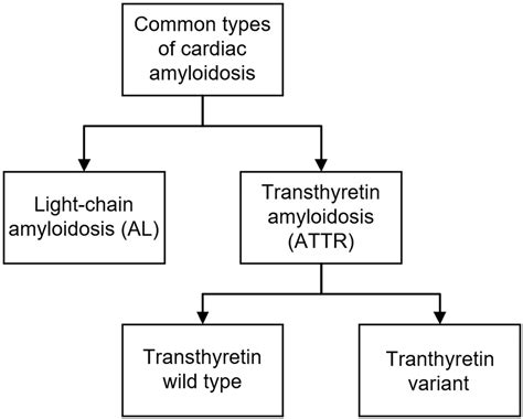Cardiac Amyloidosis Imaging, Part 1: Amyloidosis Etiology and Image ...