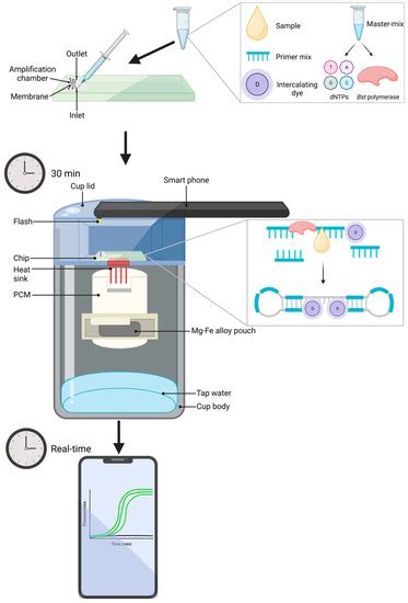 Current and Future Advances in the Detection and Surveillance of ...