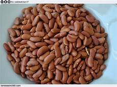 proteine vegetali alimenti proteine vegetali proteine vegetali alimenti proteine vegetali