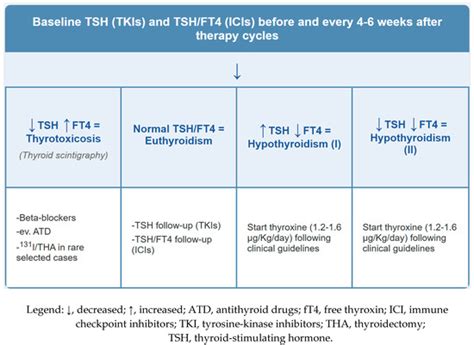 Endocrine Adverse Events Induced by Cancer Treatments: The Role of 18F ...